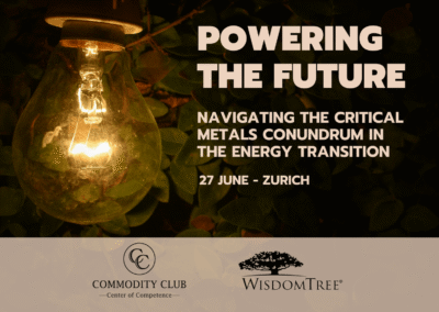 Powering the Future: Navigating the Critical Metals Conundrum in the Energy Transition