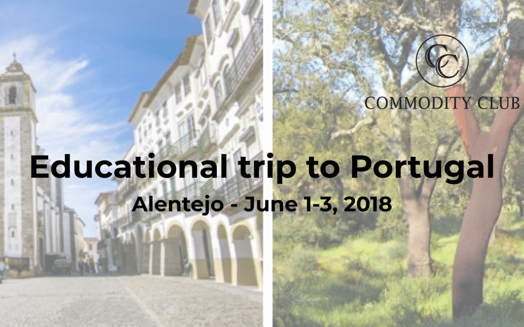 Educational trip to Portugal